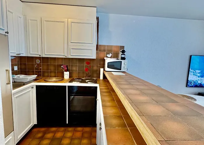 Magnifique Au Centre De Montana Apartman *